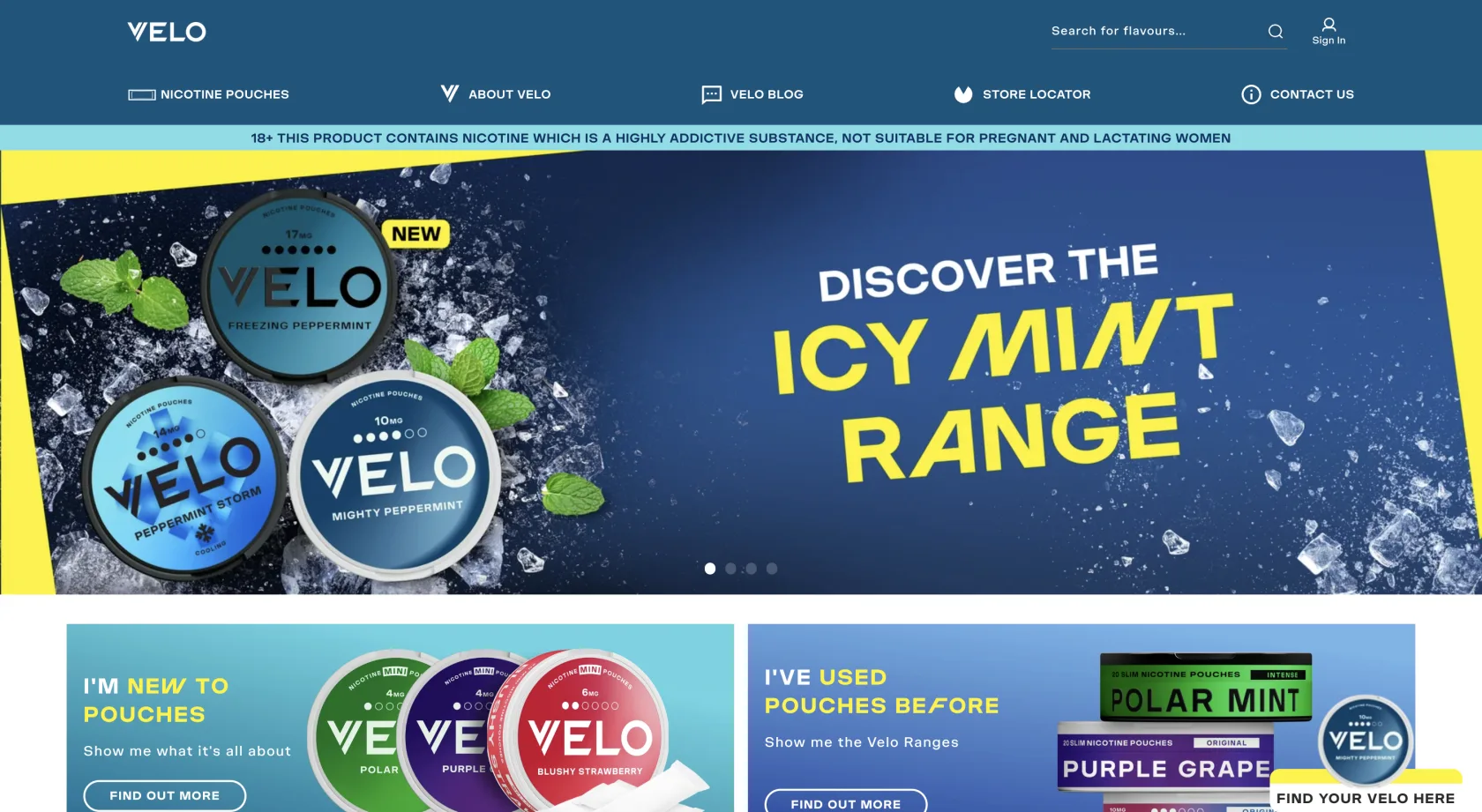 Screenshot — VELO UAE questionnaire